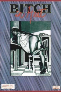 Vidoetape; Blue Angel; New Geometry Theory