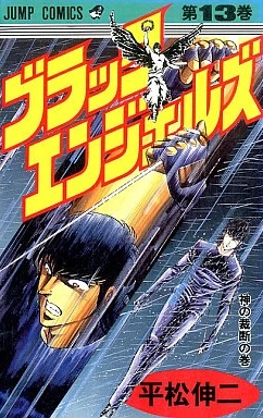 Cover of Vol. 13