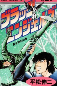 Vol. 3