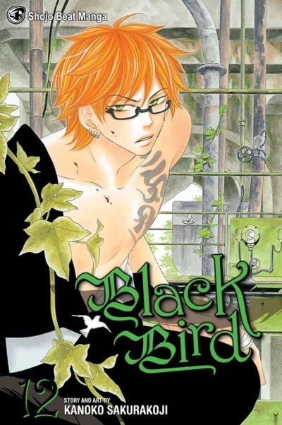 Cover of Vol. 12