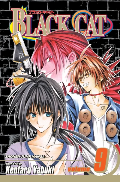 Cover of Showdown at the Old Castle