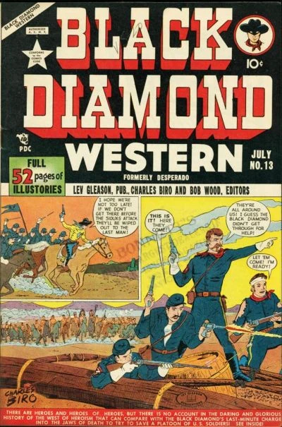 Cover of Issue #13