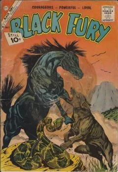 Cover of Issue #31