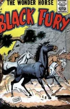 Cover of Issue #5