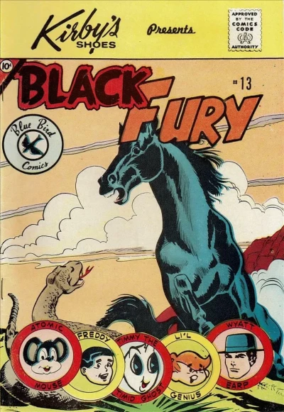 Cover of Issue #13