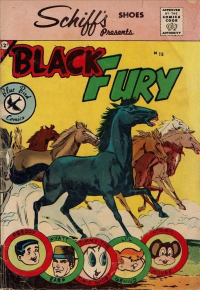 Cover of Issue #15