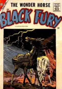 Cover of Black Fury vs. Bull Watson!