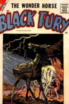 Black Fury vs. Bull Watson!