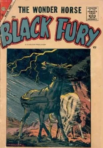 Cover of Black Fury vs. Bull Watson!