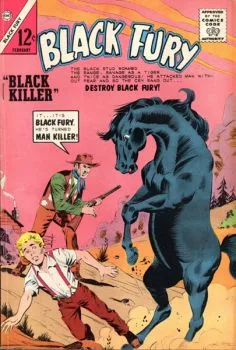 Cover of Black Killer