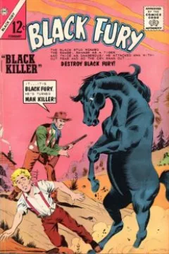 Black Killer