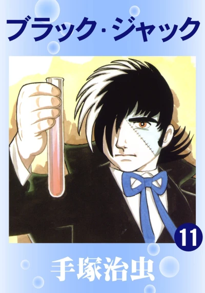 Cover of Vol. 11