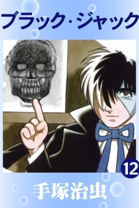 Vol. 12