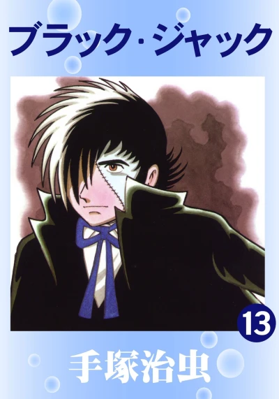 Cover of Vol. 13