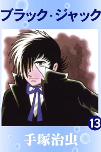 Vol. 13