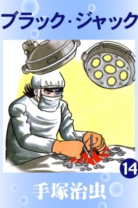 Vol. 14