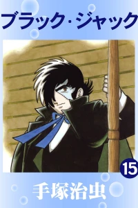 Vol. 15
