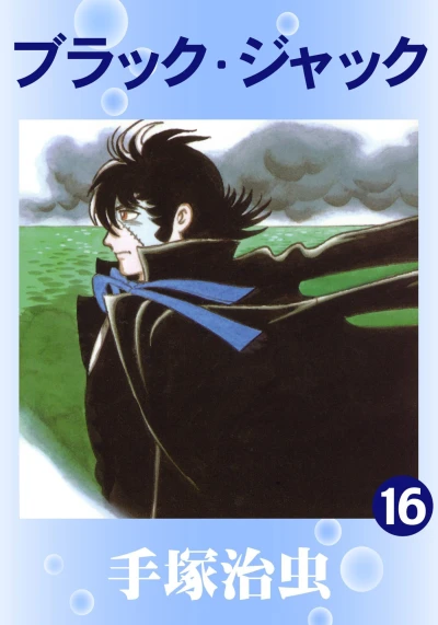 Cover of Vol. 16
