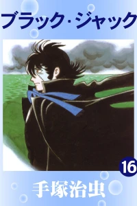 Vol. 16