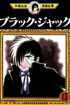Volume #13