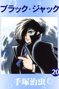 Vol. 20