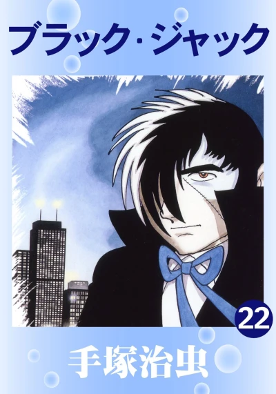 Cover of Vol. 22