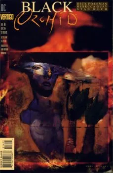 Cover of Suzy and the Splintered Lands