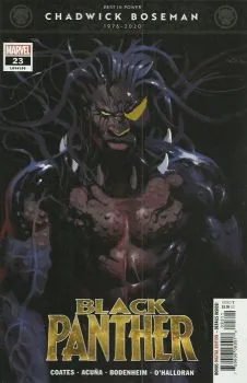 Cover of Book 4: Wakanda Unbound; Letting Go