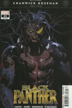 Book 4: Wakanda Unbound; Letting Go