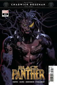Book 4: Wakanda Unbound; Letting Go
