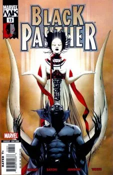 Cover of White Light, Black Heat