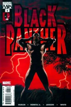 Who is the Black Panther? Part 6