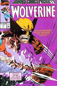 Black Shadow White Shadow