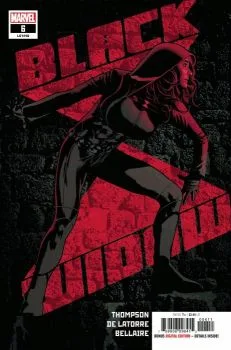 Cover of Widows