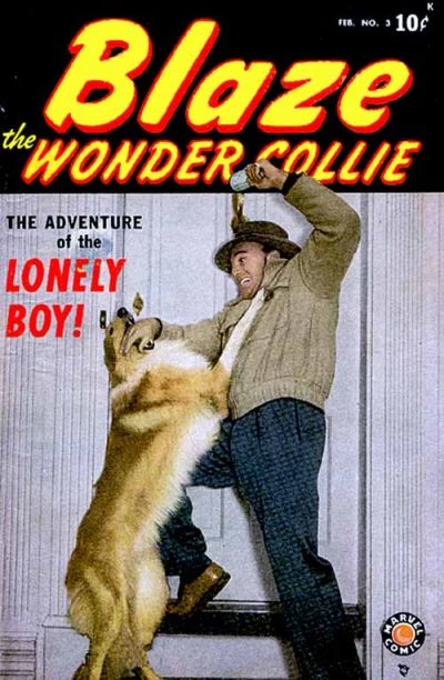 Cover of The Adventure Of The Lonely Boy!