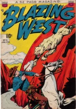 Cover of Issue #9