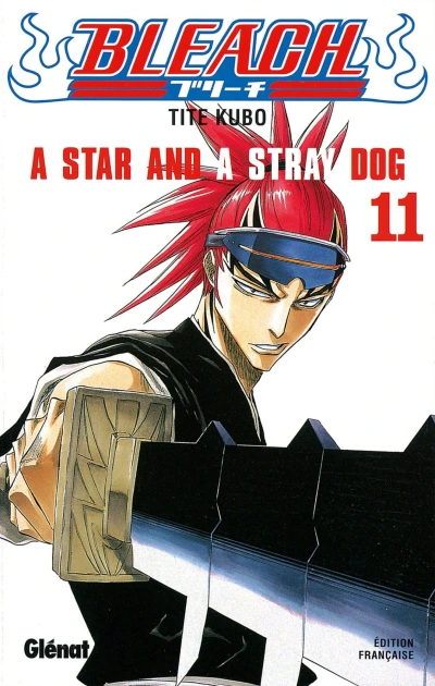 Cover of A Star and A Stray Dog