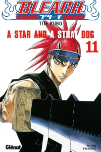 A Star and A Stray Dog