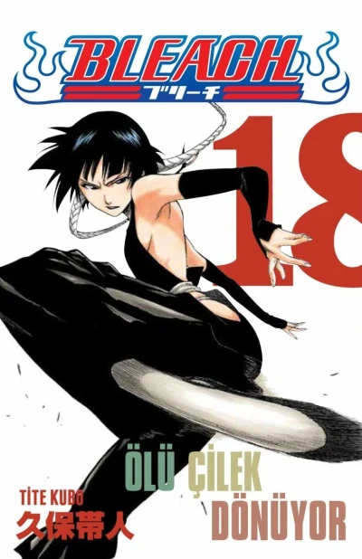 Cover of Volume #18