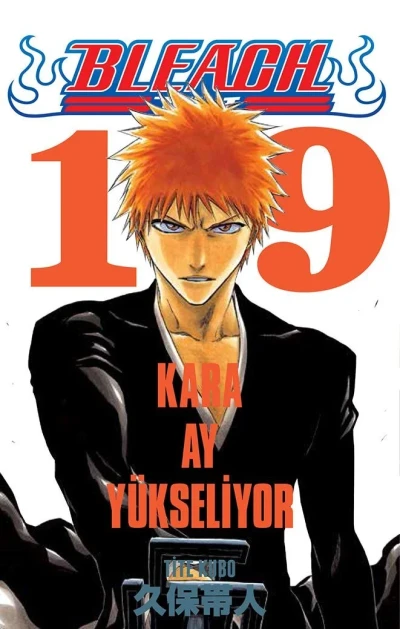 Cover of Volume #19