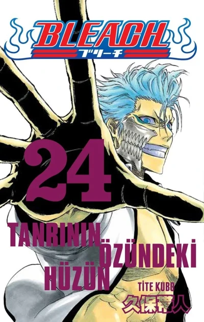 Cover of Volume #24
