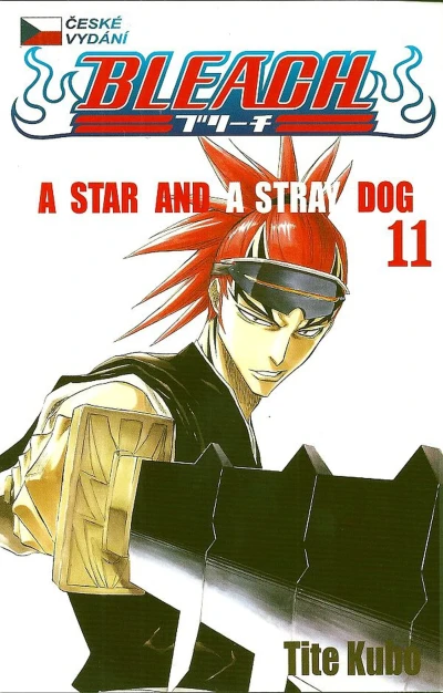 Cover of A Star and a Stray Dog