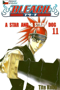 A Star and a Stray Dog