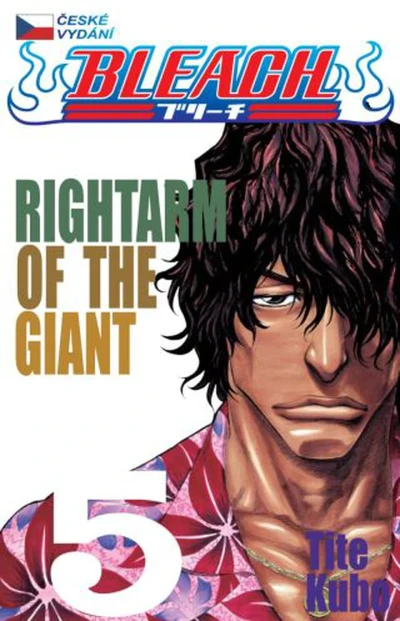 Cover of Rightarm of the Giant