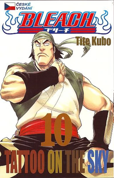 Cover of Tattoo on the Sky