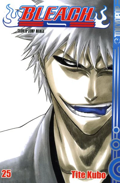 Cover of Kein schwankender Thron