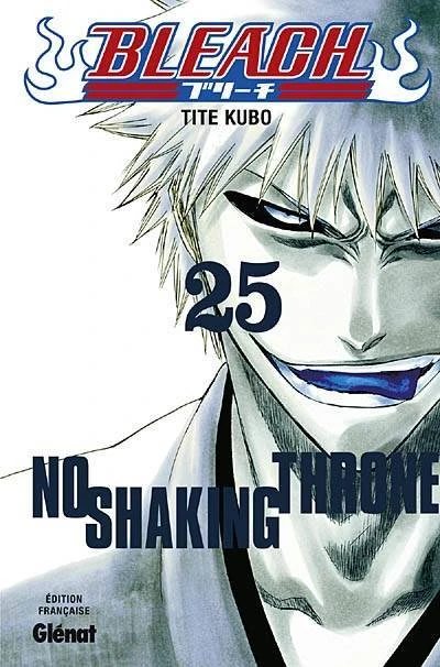 Cover of No Shaking Throne