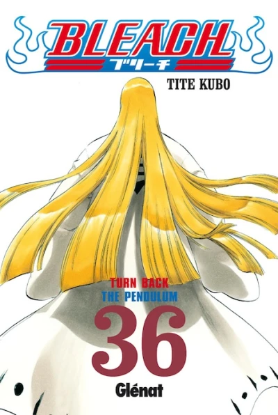 Cover of Turn Back the Pendulum