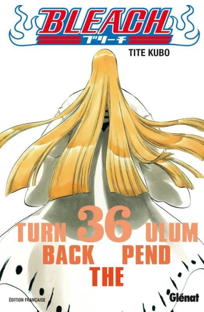 Cover of Turn Back the Pendulum
