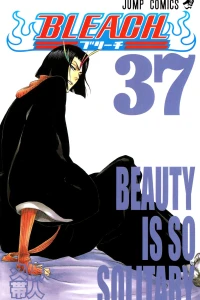 Beauty is So Solitary